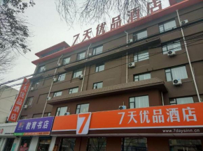 7 Days Premium Binzhou Boxing Zina International Studio